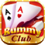 new rummy 51 icon