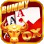 best rummy icon